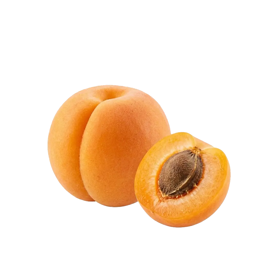 Apricot