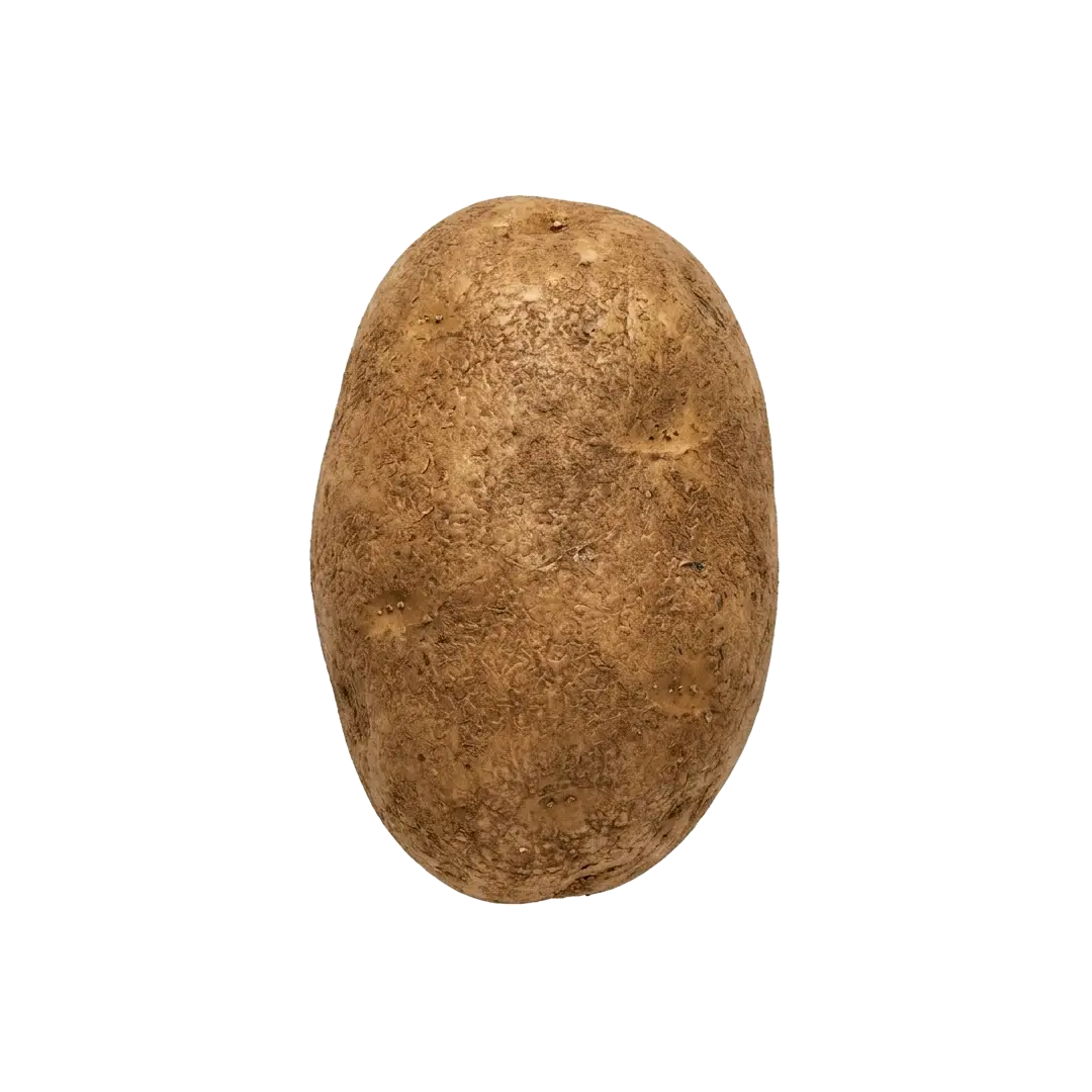 Potato